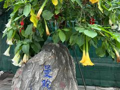 -古大圣慈寺