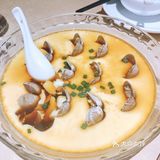 我只是想吃口豆腐呢红烧肉水平一直在线