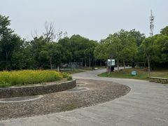 -南京市江宁方山