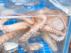 -宾朋海鲜美食餐厅·特色美食(兴海路店)