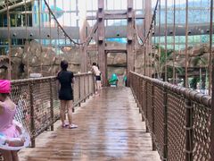 -杭州开元森泊度假乐园