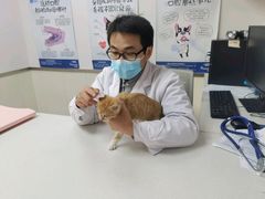 -宠颐生宠物医院·犬猫全科·皮肤科(商业街店)