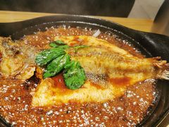 -九毛九西北菜(大东海店)