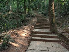 -九曜山