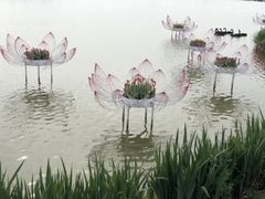 -荷兰花海
