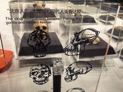 -北京周口店北京人遗址博物馆