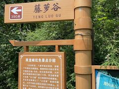 -双龙峡