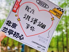 -泗洪洪泽湖湿地景区