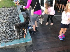 -Takapuna Beach Cafe