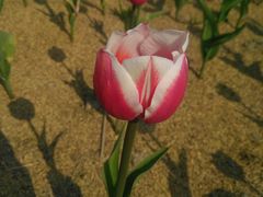 -公益图书馆(江南大学店)