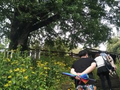 -藏龙百瀑风景区