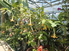 -国家植物园南园