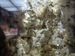 -湖南省地质博物馆