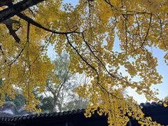 -无锡惠山寺