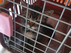 -惠康宠物医院(华能路店)