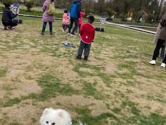 -前小桔亲子创意农场·草莓采摘·露营烧烤