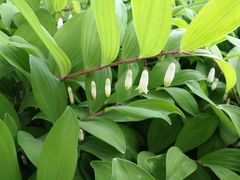 -北京植物园-展览温室