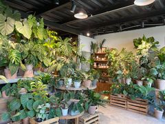-自由生长植物工作室(深港花卉中心店)