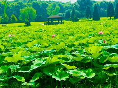-宜兴龙背山森林公园