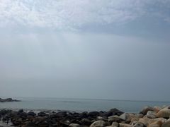 -广东惠东海龟国家级自然保护区