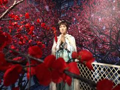 -武汉杜莎夫人蜡像馆