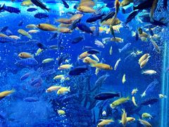 -大明湖海底世界