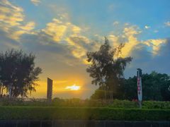 -宝安西湾红树林湿地公园