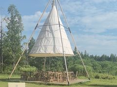 -长田漾湿地公园