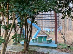 -东平国家森林公园