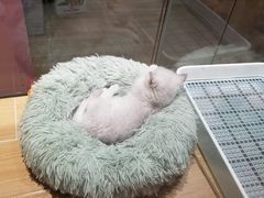 -大创十元超市(苏州泉屋店)