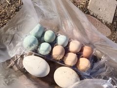 -甜心庄园·甜心草莓采摘园(西青中北店)