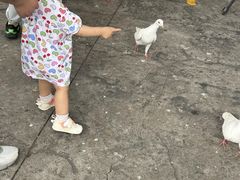 -南湖梦幻岛