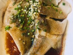 -看见远方·莫干遥远的山民宿