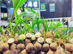 -海大南门夜市(海富街店)