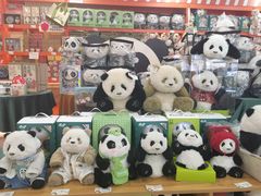 -熊猫邮局(少城店)