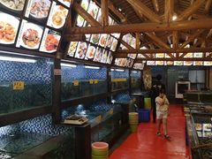 -顺德了能馆(虎门店)