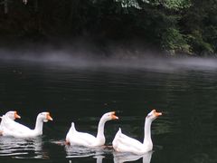-周洛大峡谷