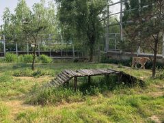 -临沂动植物园