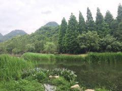 -贵阳市花溪国家城市湿地公园