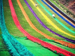 -梦幻奥陶纪景区