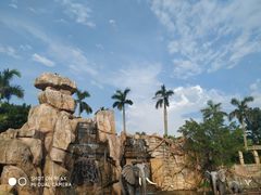 -美的鹭湖探索王国