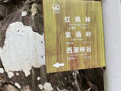 -五泄景区