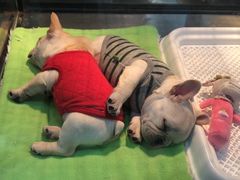 -星巴克(古美路店)