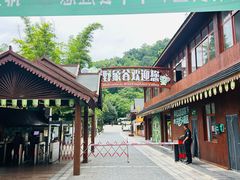 -野象谷景区