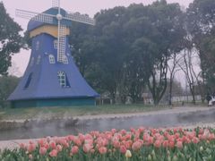 -无锡梅园公园