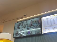 -唐小姐の私宠·宠物洗护美容·撸猫馆·购宠(周浦万达旗舰店)