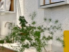 -Cafe on warm(丹霞店)