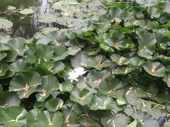 -森林公园(尖草坪区)