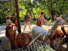 -深圳野生动物园