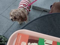 -汉堡王(广州无限极广场店)